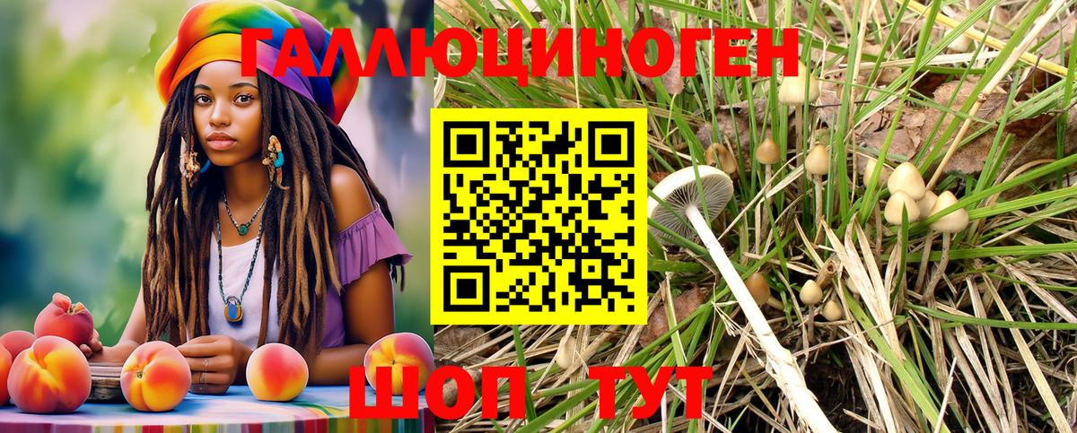 Галлюциногенные грибы ЛСД  Вход с VPN  Можга 